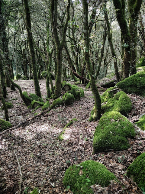 attività e visite a bultei sardegna - tonnia affittacamere (6)